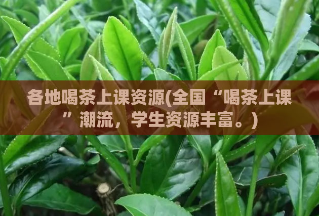 各地喝茶上课资源(全国“喝茶上课”潮流,学生资源丰富。)