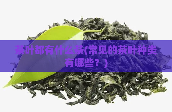 茶叶都有什么茶(常见的茶叶种类有哪些？)