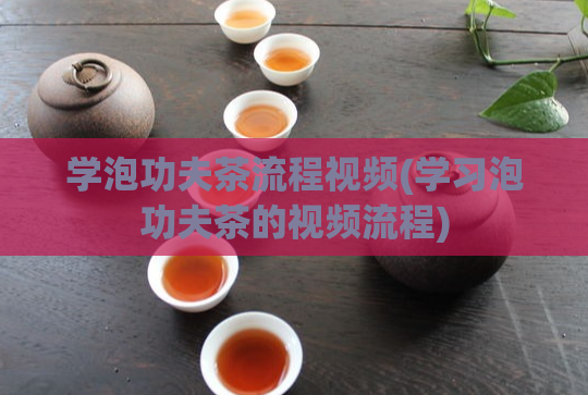 学泡功夫茶流程视频(学习泡功夫茶的视频流程)
