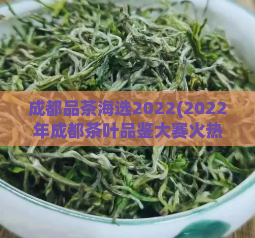 成都品茶海选2022(2022年成都茶叶品鉴大赛火热进行中)