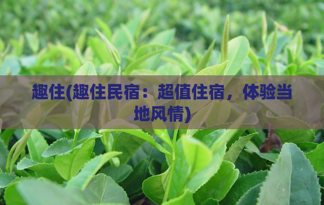 趣住(趣住民宿:超值住宿,体验当地风情)