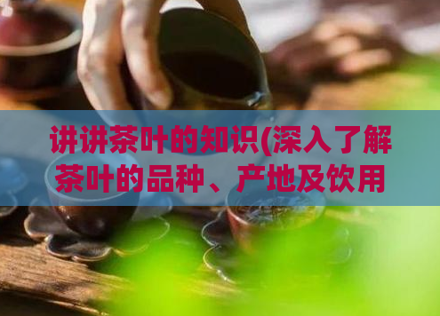 讲讲茶叶的知识(深入了解茶叶的品种、产地及饮用方式)