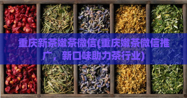 重庆新茶嫩茶微信(重庆嫩茶微信推广,新口味助力茶行业)