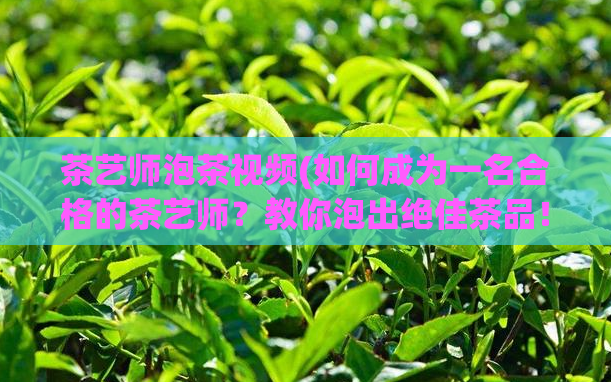 茶艺师泡茶视频(如何成为一名合格的茶艺师？教你泡出绝佳茶品！)