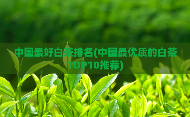 中国最好白茶排名(中国最优质的白茶TOP10推荐)