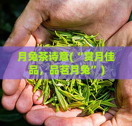 月兔茶诗意(“赏月佳品,品茗月兔”)