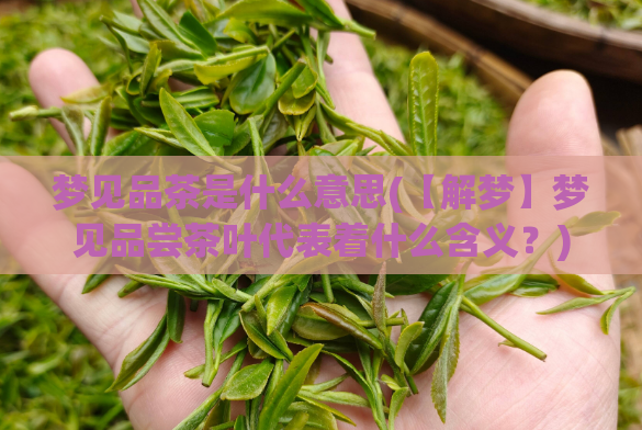 梦见品茶是什么意思(【解梦】梦见品尝茶叶代表着什么含义?)
