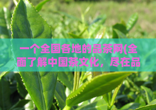 一个全国各地的品茶网(全面了解中国茶文化，尽在品茶网)