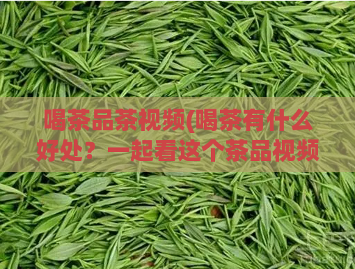 喝茶品茶视频(喝茶有什么好处？一起看这个茶品视频！)