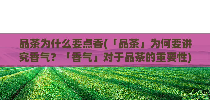 品茶为什么要点香(「品茶」为何要讲究香气?「香气」对于品茶的重要性)