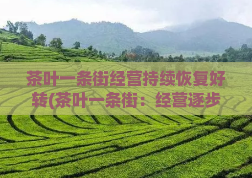 茶叶一条街经营持续恢复好转(茶叶一条街：经营逐步回暖)