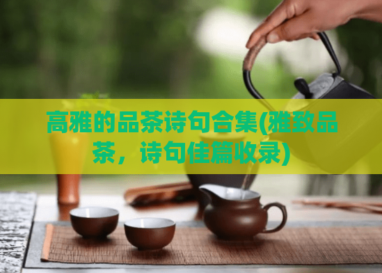 高雅的品茶诗句合集(雅致品茶,诗句佳篇收录)