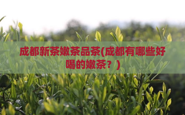 成都新茶嫩茶品茶(成都有哪些好喝的嫩茶？)