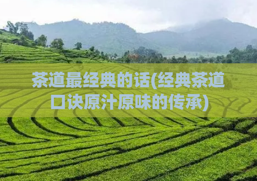 茶道最经典的话(经典茶道口诀原汁原味的传承)