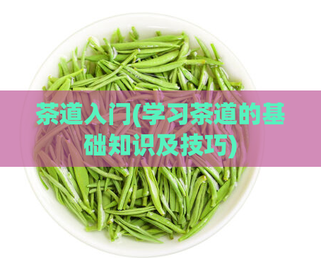 茶道入门(学习茶道的基础知识及技巧)