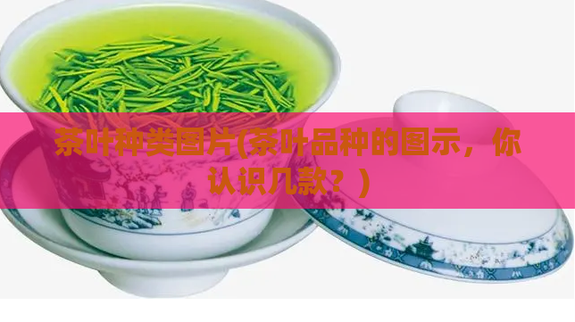 茶叶种类图片(茶叶品种的图示，你认识几款？)