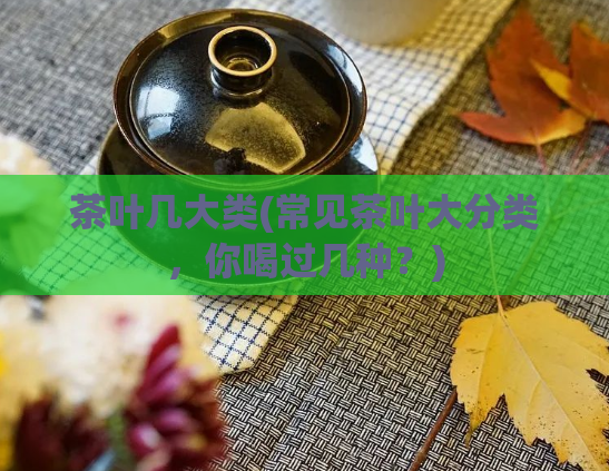 茶叶几大类(常见茶叶大分类,你喝过几种?)