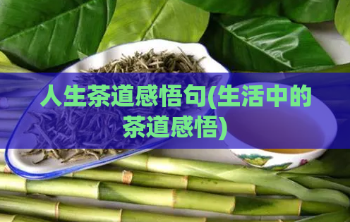 人生茶道感悟句(生活中的茶道感悟)