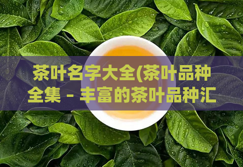 茶叶名字大全(茶叶品种全集 – 丰富的茶叶品种汇总)