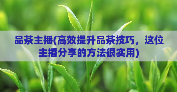 品茶主播(高效提升品茶技巧，这位主播分享的方法很实用)