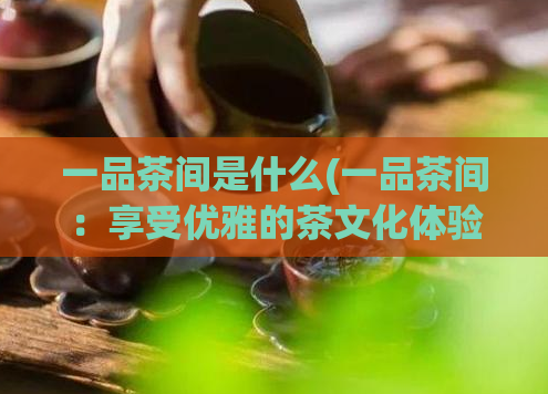 一品茶间是什么(一品茶间：享受优雅的茶文化体验)