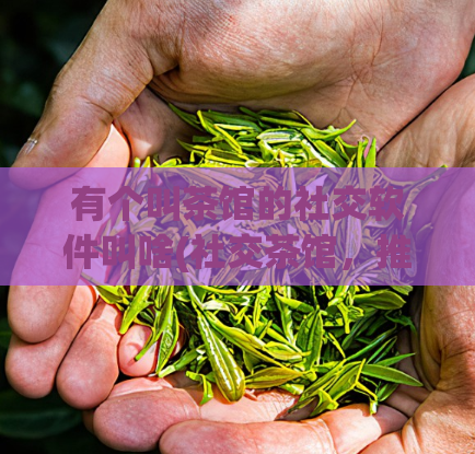 有个叫茶馆的社交软件叫啥(社交茶馆，推陈出新——这个社交软件改变了我们的生活方式！)