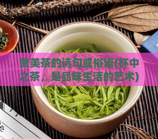 赞美茶的诗句或俗语(杯中之茶，是品味生活的艺术)