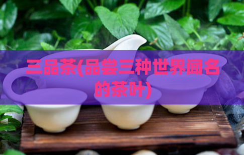 三品茶(品尝三种世界闻名的茶叶)