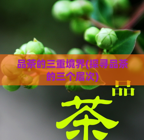 品茶的三重境界(探寻品茶的三个层次)