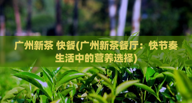 广州新茶 快餐(广州新茶餐厅：快节奏生活中的营养选择)