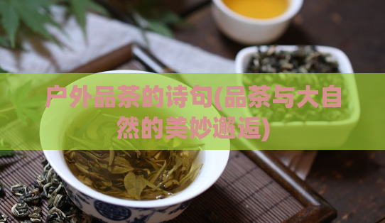 户外品茶的诗句(品茶与大自然的美妙邂逅)