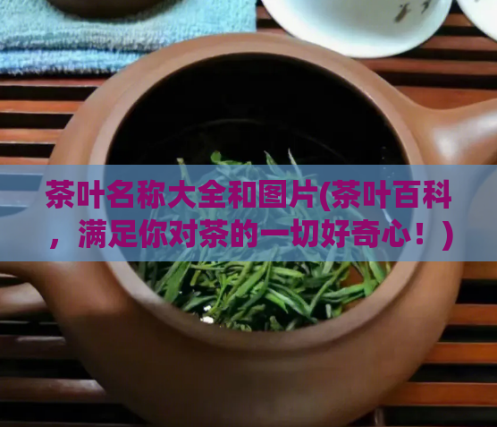 茶叶名称大全和图片(茶叶百科，满足你对茶的一切好奇心！)