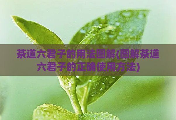 茶道六君子的用法图解(图解茶道六君子的正确使用方法)
