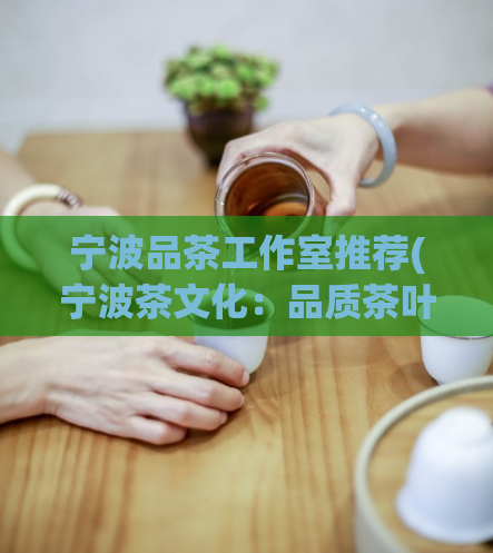 宁波品茶工作室推荐(宁波茶文化：品质茶叶与闲适生活的完美结合)