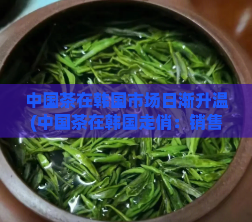 中国茶在韩国市场日渐升温(中国茶在韩国走俏:销售火爆)