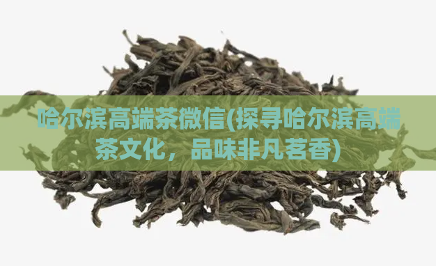 哈尔滨高端茶微信(探寻哈尔滨高端茶文化,品味非凡茗香)