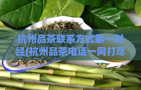 杭州品茶联系方式第一财经(杭州品茶电话一网打尽!)