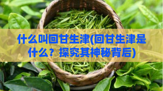 什么叫回甘生津(回甘生津是什么?探究其神秘背后)