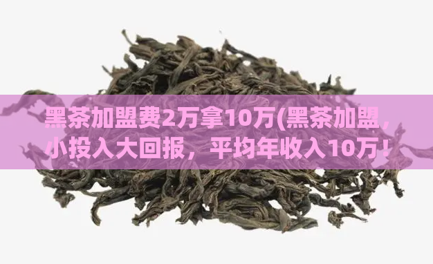 黑茶加盟费2万拿10万(黑茶加盟，小投入大回报，平均年收入10万！)