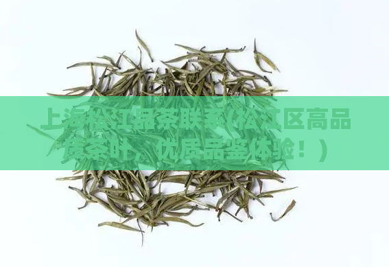 上海松江品茶联系(松江区高品质茶叶，优质品鉴体验！)