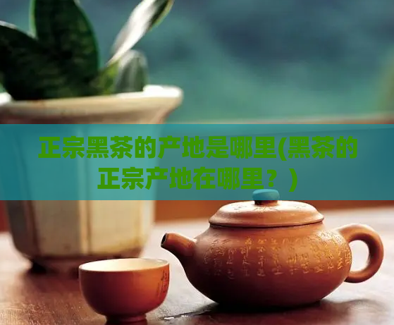 正宗黑茶的产地是哪里(黑茶的正宗产地在哪里？)