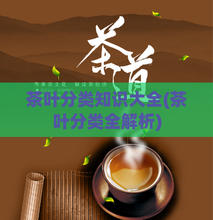 茶叶分类知识大全(茶叶分类全解析)