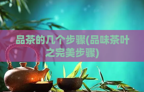 品茶的几个步骤(品味茶叶之完美步骤)