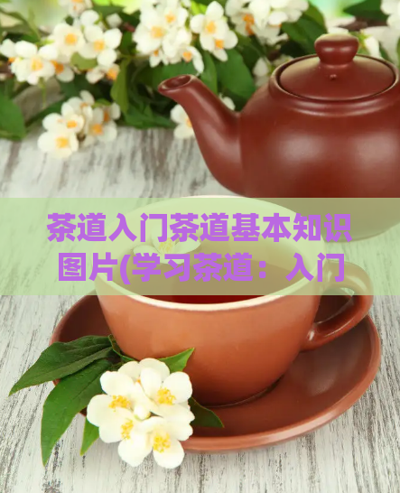 茶道入门茶道基本知识图片(学习茶道:入门基本知识大揭秘)