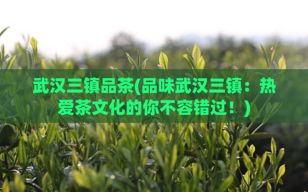 武汉三镇品茶(品味武汉三镇：热爱茶文化的你不容错过！)