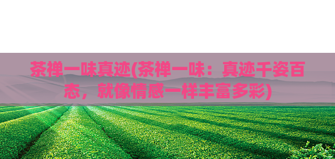 茶禅一味真迹(茶禅一味:真迹千姿百态,就像情感一样丰富多彩)