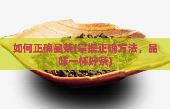 如何正确品茶(掌握正确方法,品味一杯好茶)