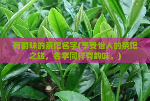 有韵味的茶馆名字(享受怡人的茶馆之旅,名字同样有韵味。)