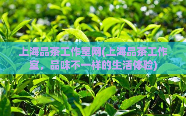 上海品茶工作室网(上海品茶工作室，品味不一样的生活体验)