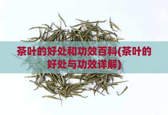 茶叶的好处和功效百科(茶叶的好处与功效详解)